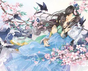 海角 表妹彤彤